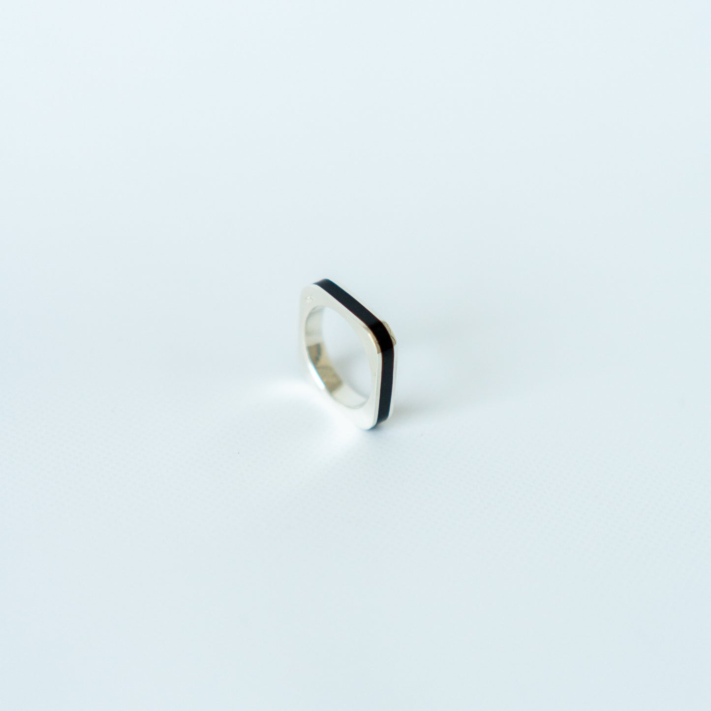 O-ring Medium