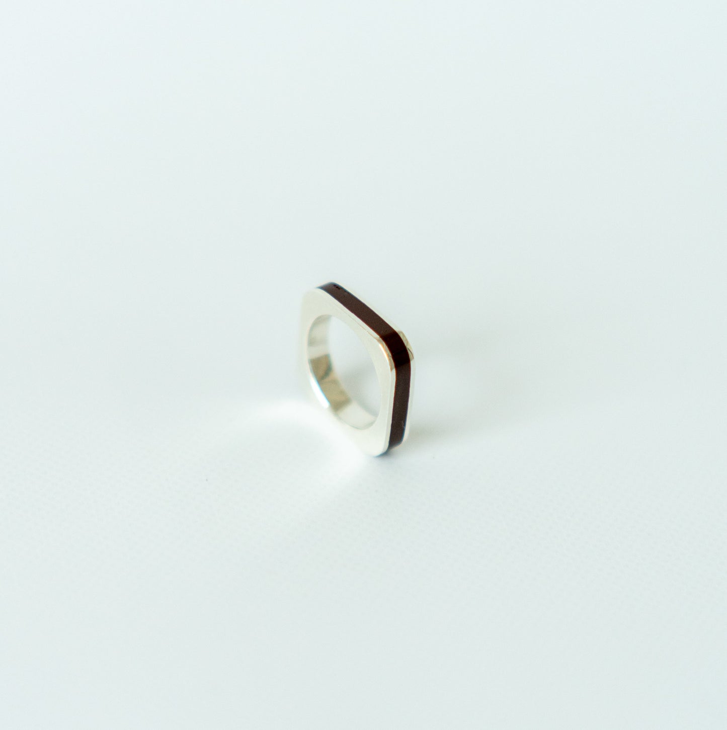 O-ring Medium