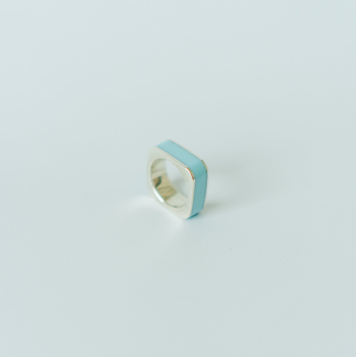 O-ring, large