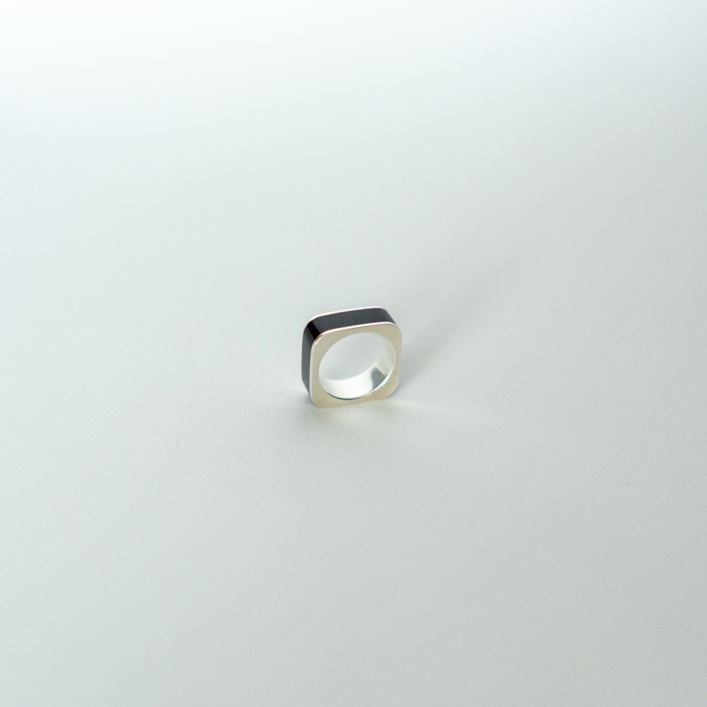 O ring　ラージ