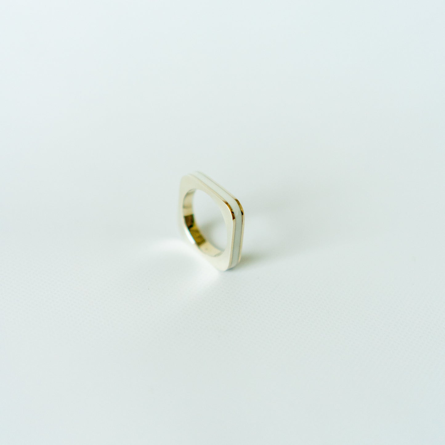 O-ring Medium