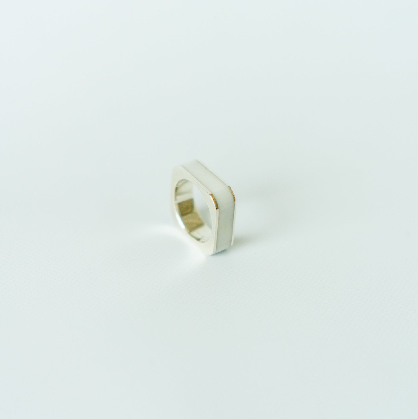 O-ring, large