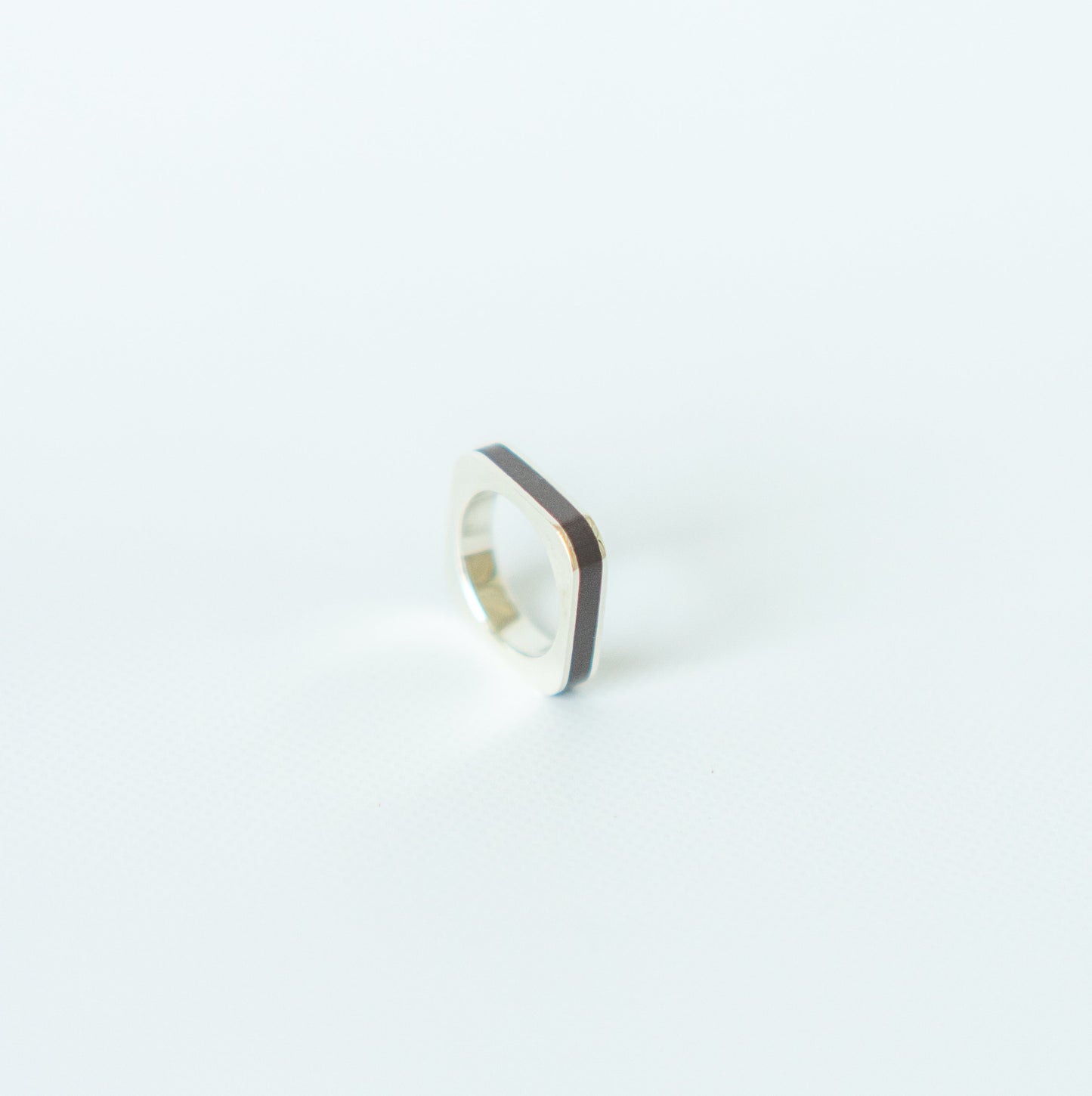 O-ring Medium