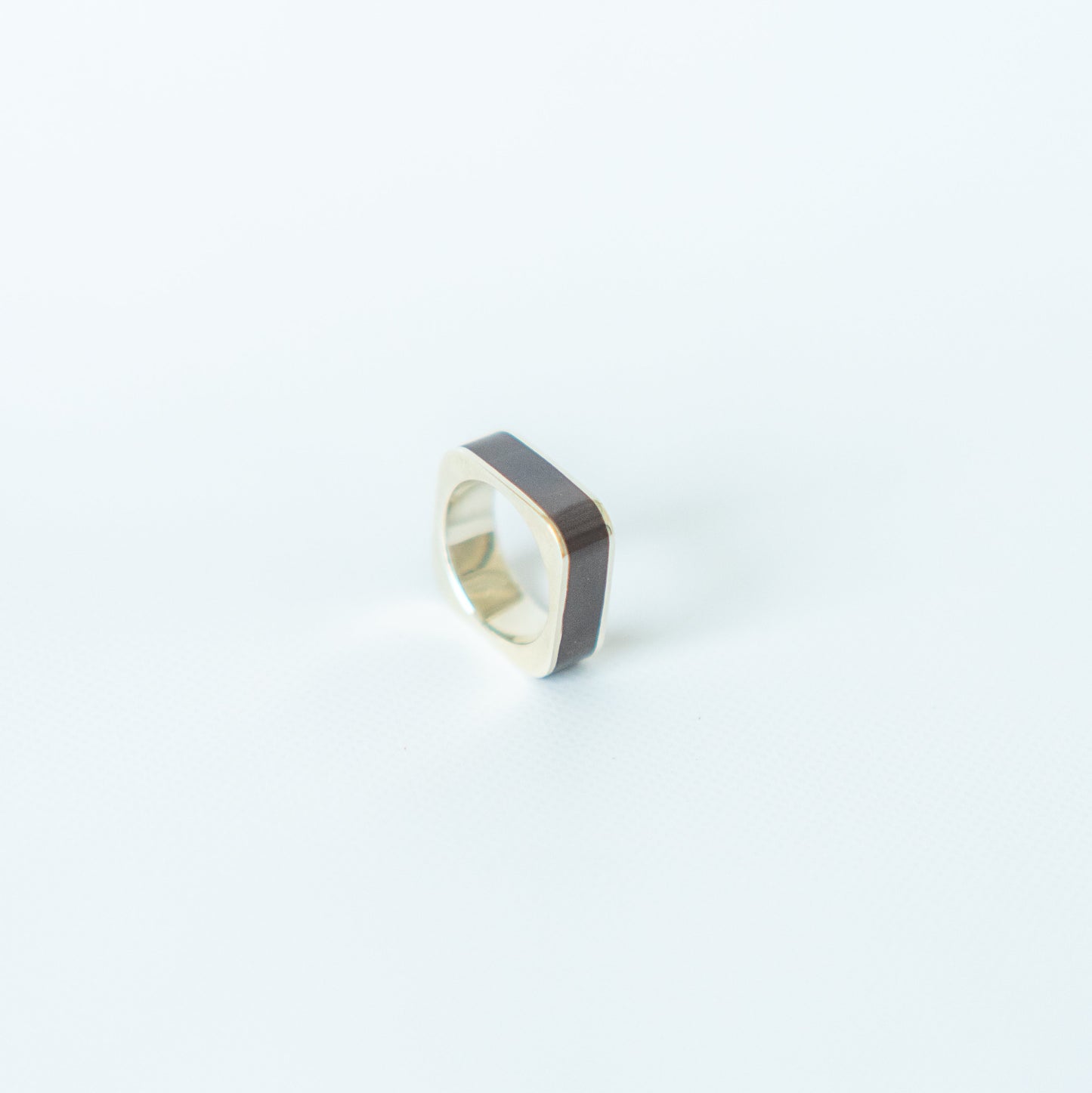 O-ring, large